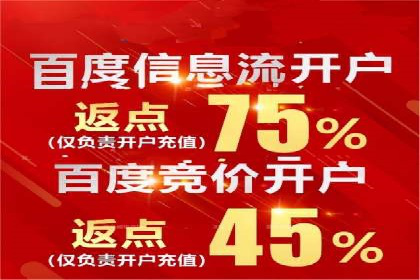 某电商平台的SEM代运营策略及效果评估